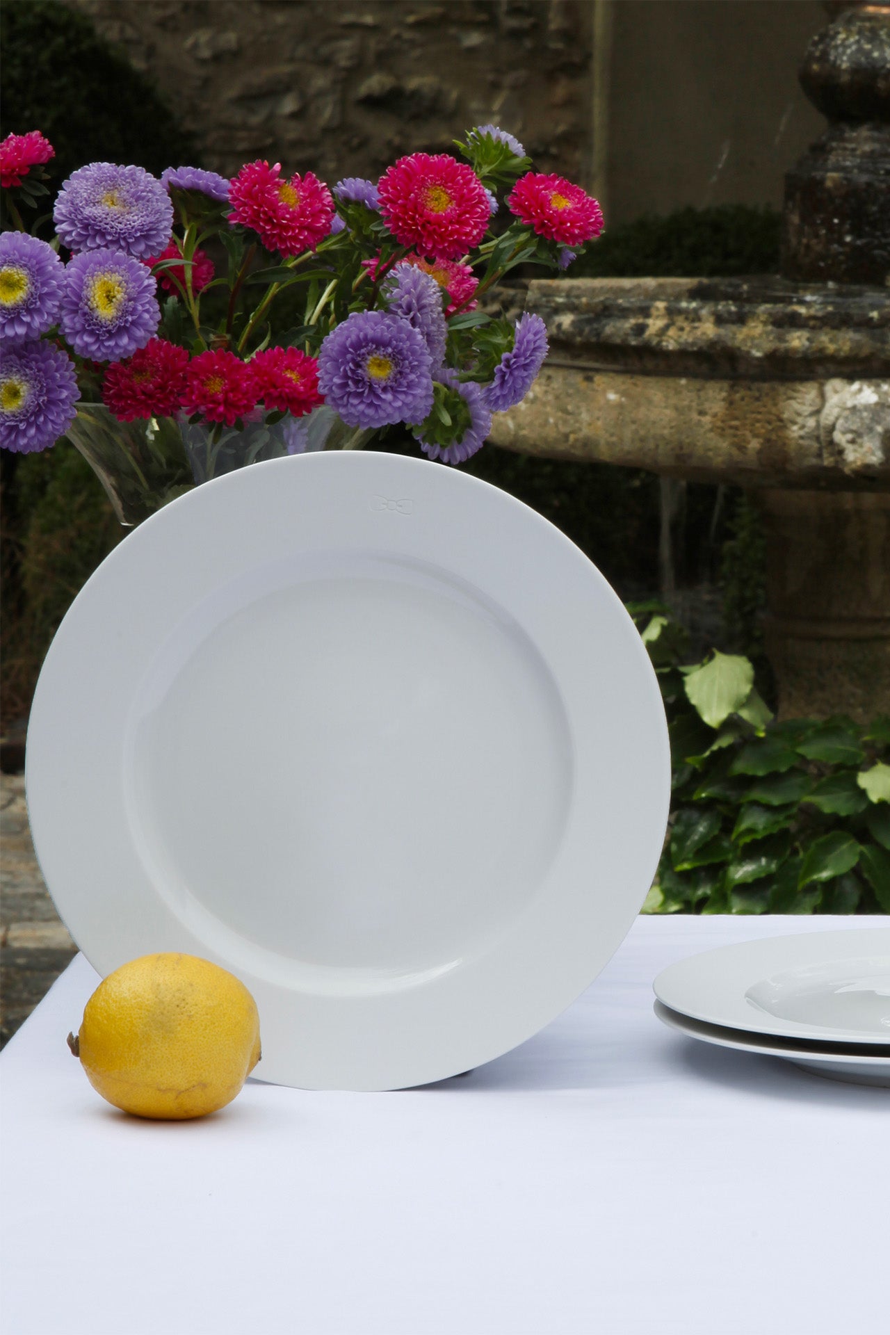 Lot de 6 assiettes à dessert blanches rondes en porcelaine de Limoges