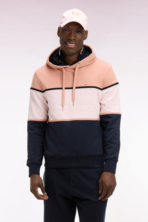 Sweatshirt à capuche rose à découpes pastel brodées coupe regular - Image 3