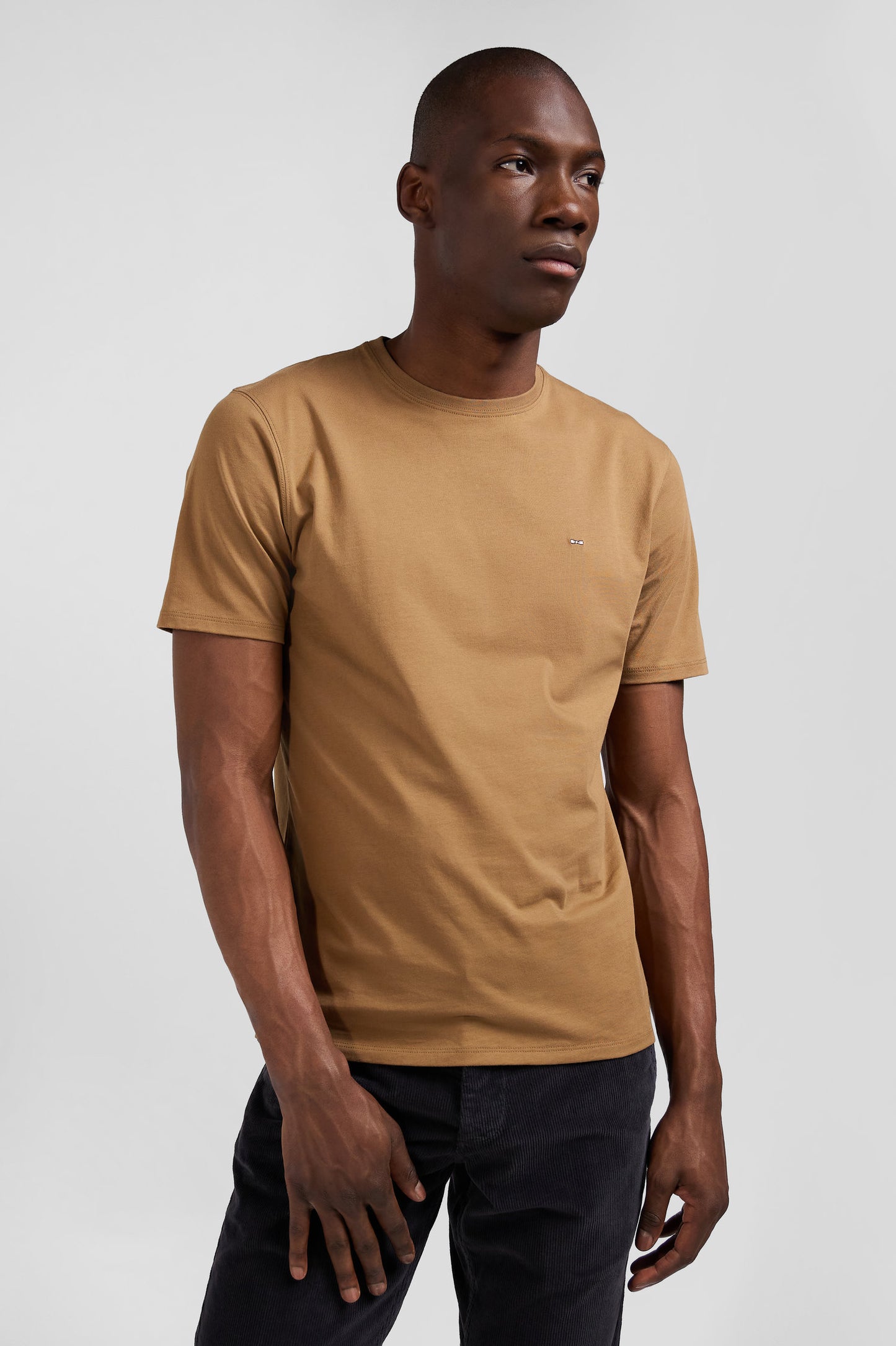 Short-sleeved T-shirt in plain hazelnut Pima cotton, regular fit