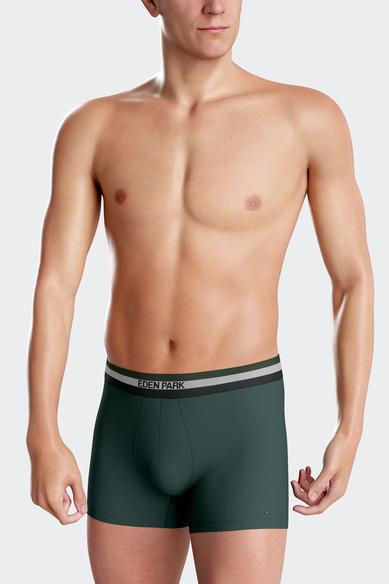 Lot de 2 boxers en coton stretch élastique tricolore vert